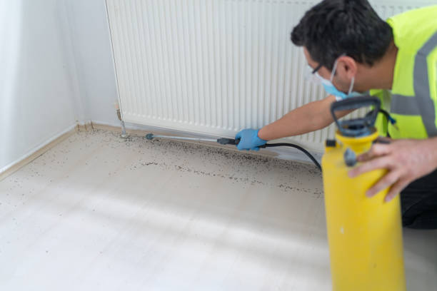 Best Pest Prevention Services  in Mallory, WV