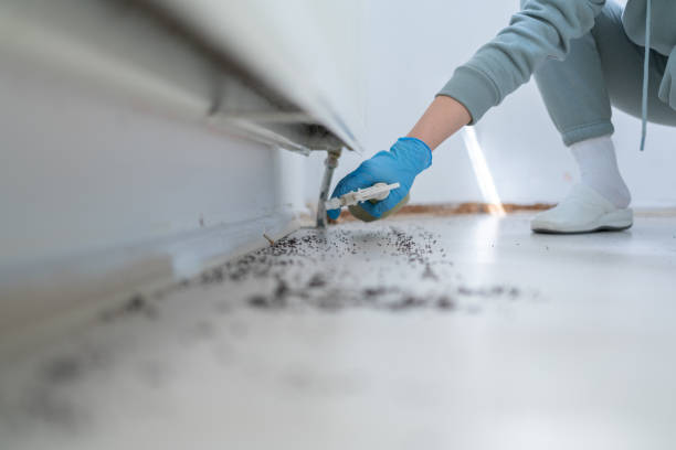 Insect Control in Mallory, WV